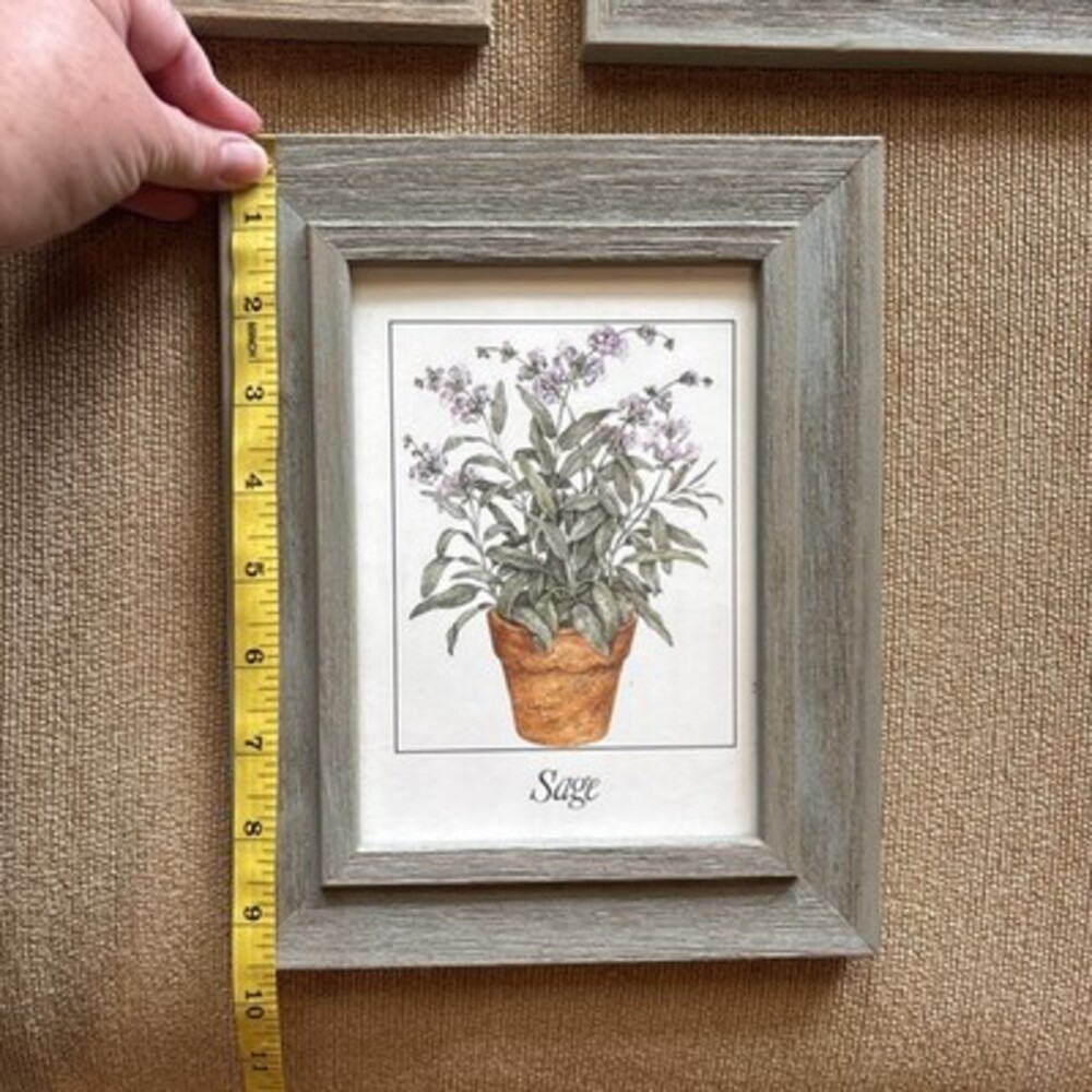 EUC Set Of Three Herb Portraits Thyme Sage Basil, Faux Wood Frame, 9 1/2 X 7 1/2 - Picture 4 of 12